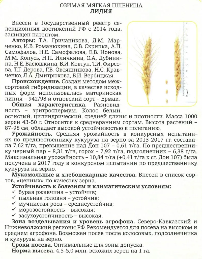 фотография продукта Семена Озимой пшеницы:Лидия, Ермак,Аскет