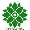 семена подсолнечник меркурий agroastra в Ростове-на-Дону и Ростовской области 4