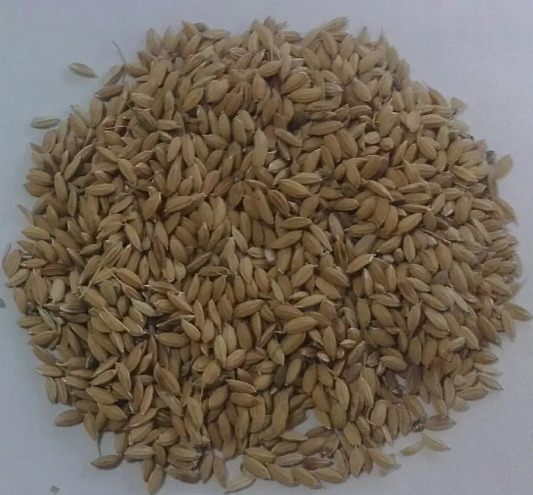 фотография продукта Закупка сырца риса