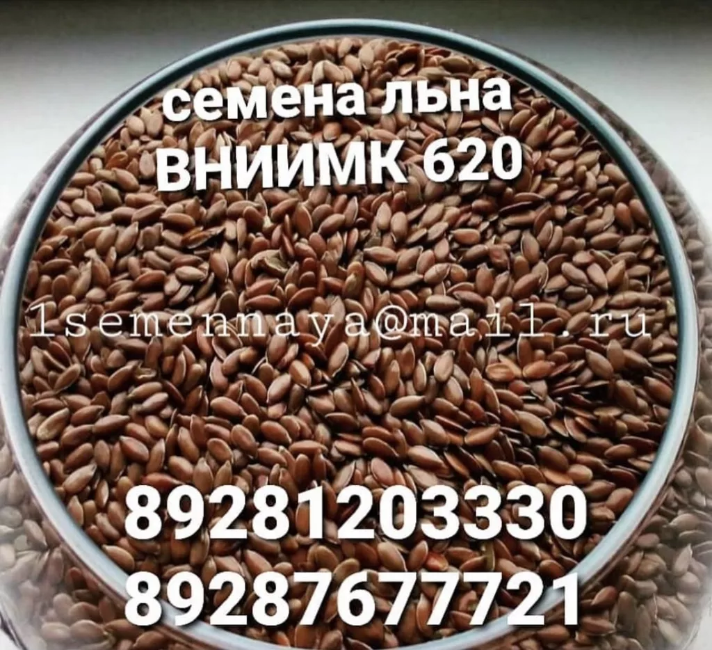 семена льна сорт вниимк 620,  микс в Ростове-на-Дону и Ростовской области