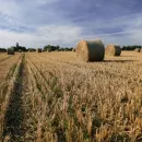 Жатва 2021: уже больше 2 млн зерна у ростовских аграриев