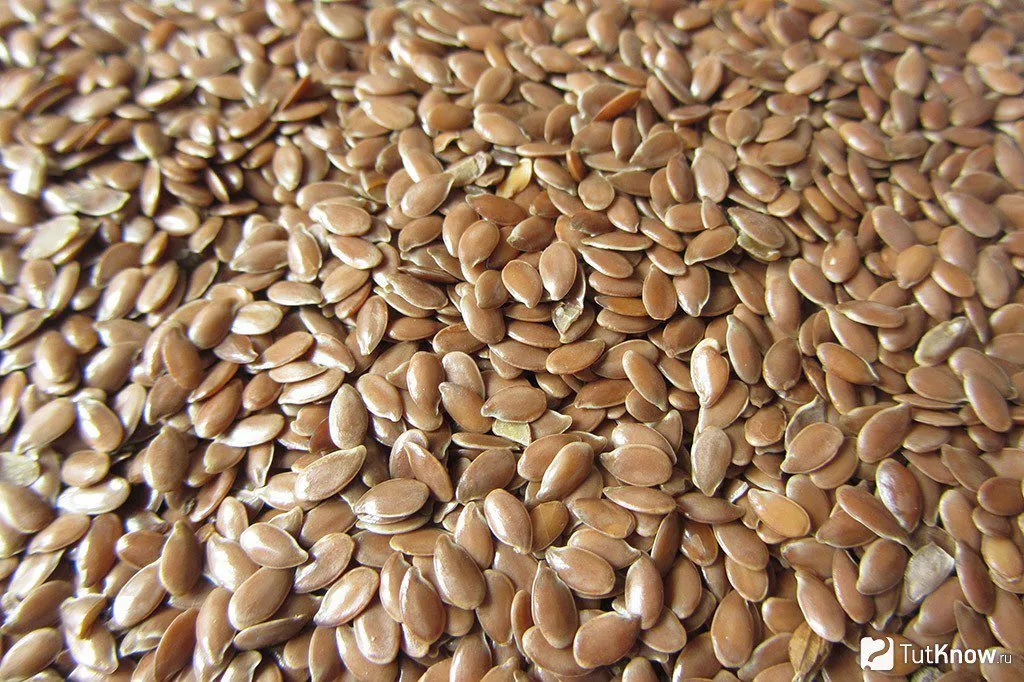 семена льна масличного  вниимк 620 в Зернограде