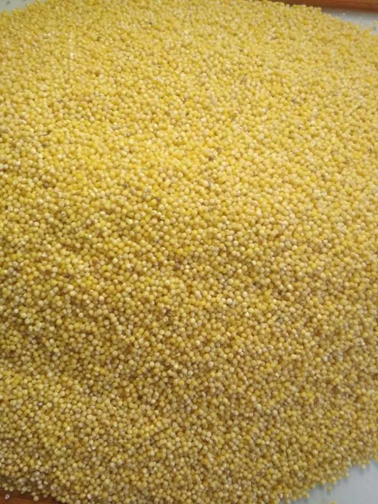 крупа ячневая, перловая, пшено,пшеничная в Таганроге 2
