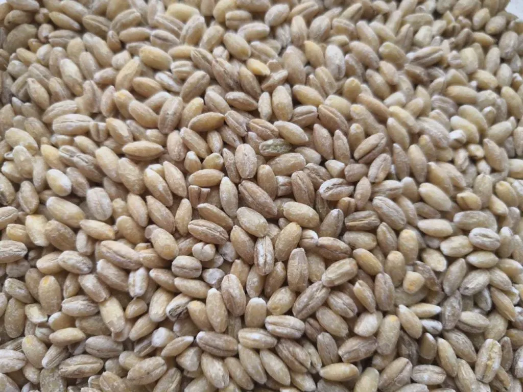 крупа ячневая, перловая, пшено,пшеничная в Таганроге 3