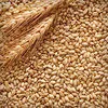 пшеница 3,4,5 Класс оптом  в Ростове-на-Дону 5