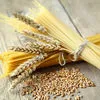 семена Пшеница твердая яровая сорта в Аксае