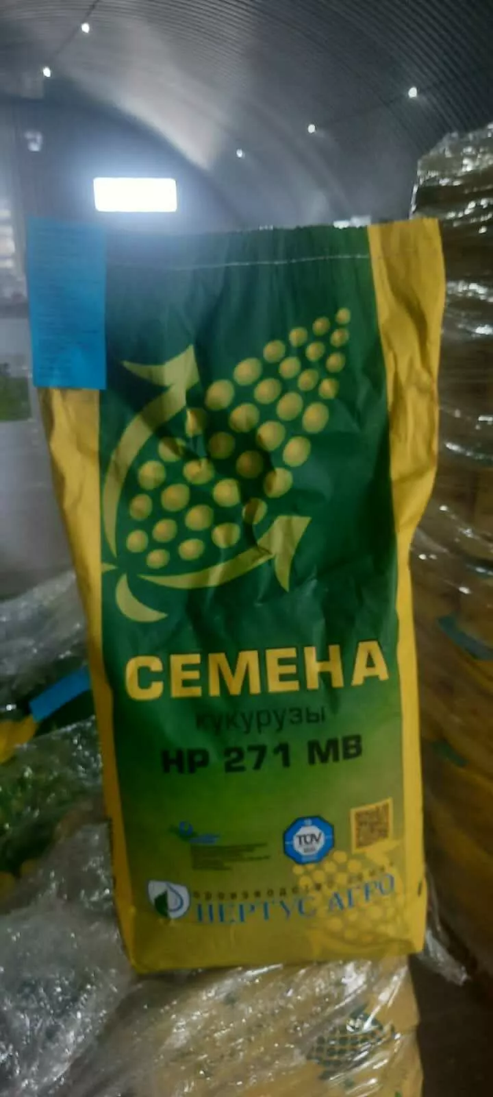 семена гибридов кукурузы в Новочеркасске