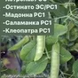 семена гороха болдор, иванна, готик в Ростове-на-Дону и Ростовской области