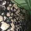 производство грибов вешенка и шампиньона в Ростове-на-Дону и Ростовской области 2